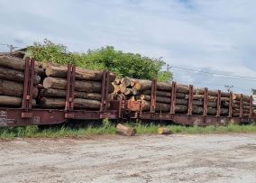 2025 – The Year Of Oak