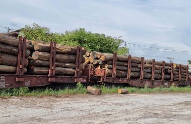 2025 – The Year Of Oak